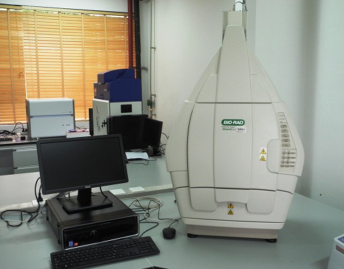 ChemiDoc XRS凝胶成像系统